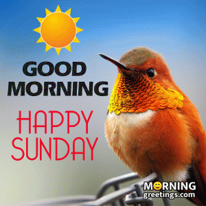 Happy-Sunday-Gif-Image.gif