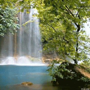tumblr_fed2399cdae846885bbc33d2105f9fd9_546fca92_500.gif