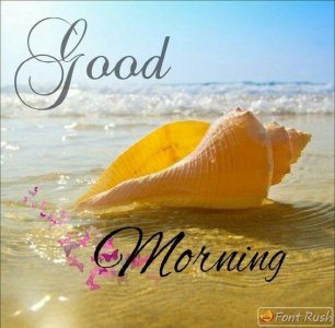 846a3e10a875bd286b2c4f1b58ef6b9e[1].jpg
