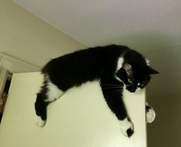 1655145855749.jpeg 1655145855749.jpeg