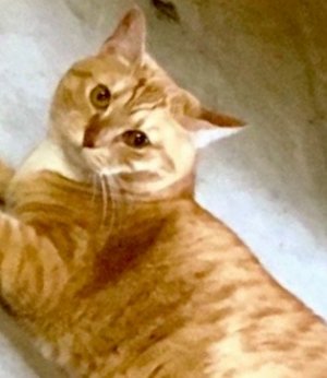 1655147243991.jpeg 1655147243991.jpeg