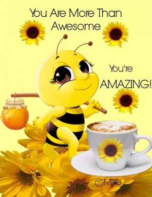 d862cd83c04e167b0f5fd7aa3dee405c[1].jpg