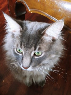 thumbnail_20210810_133308_resized (1).jpg