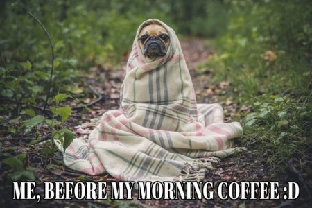Me-Before-My-Morning-Coffee-Meme-Family-Life-Tips.jpg