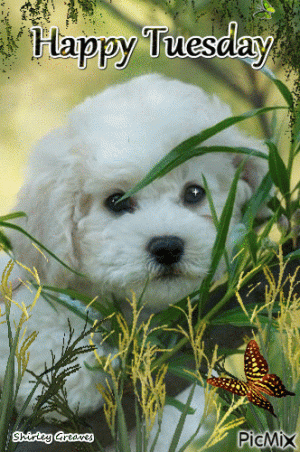 756dd8f67723d77944d24ebeebd0adba[1].gif