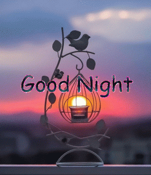 96e64c3899a796e88730c717408c8632[1].gif