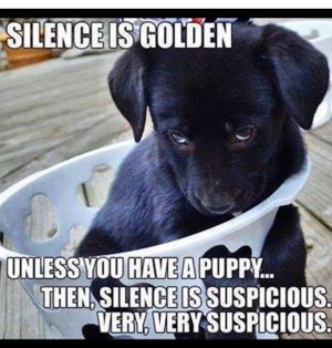 dog silence.jpg