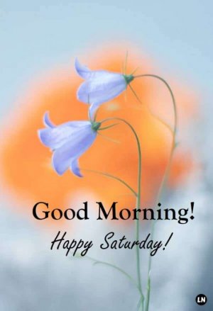 Good-Morning-Saturday-Images-with-Beautiful-Quotes-1.jpg
