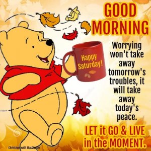 95A786BE-58BC-46E9-9649-CDDAEB5EA8C9.jpeg