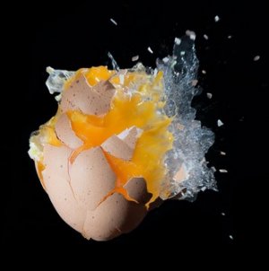 egg.jpg