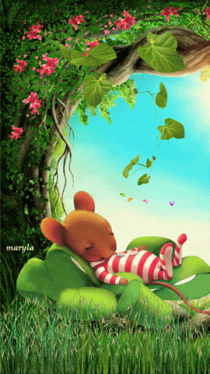 cbb2d318c2ef4e88a43bef98113d1eed[1].gif