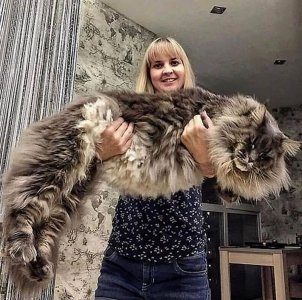 furbabies061922.jpg