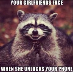 5fe3181436f6f521ffc34d2a25274ba0--funny-shit-funny-stuff.jpg