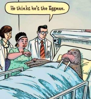 FB_IMG_1655693359462.jpg