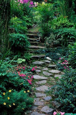 657fcf7f0429ec0d2c7f47c2d8973b29--stepping-stone-paths-garden-floor.jpg