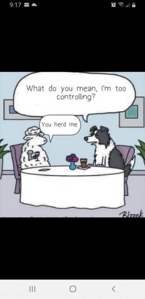 you herd me.jpg