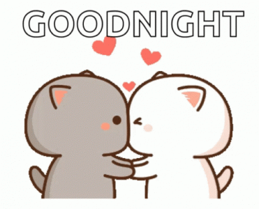 cat-love.gif