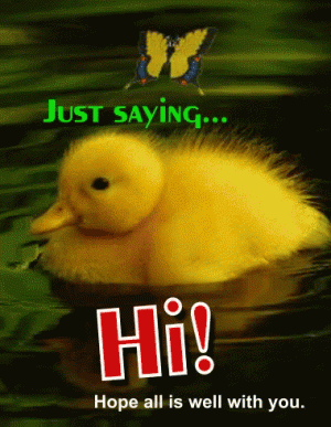 0c9da22492d5bca462c1477a42811e8b[1].gif
