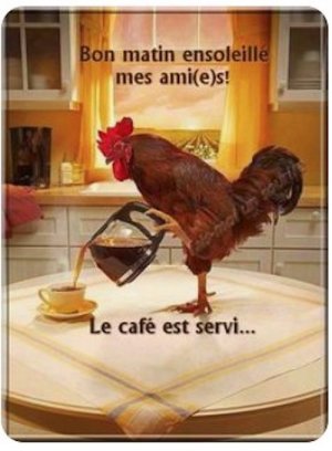 bon matin-chick.jpg