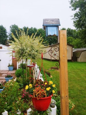 thumbnail_20220620_162825_HDR(1).jpg