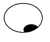 eye.jpg
