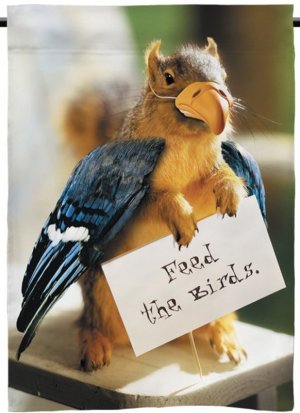 feedthebirds.jpeg