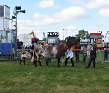 Cheshire show.3a.jpg