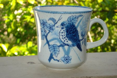 blue.JPG