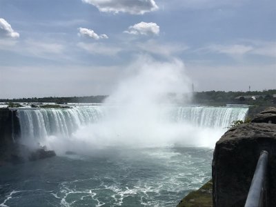 IMG_1226.jpg