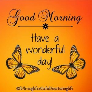 3cfcd90a1c0e694440b1c18f153397b3[1].jpg