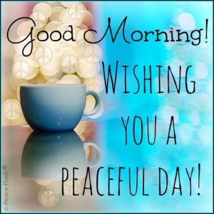 5b0654f10d2829e3c353a463be7f64ce[1].jpg