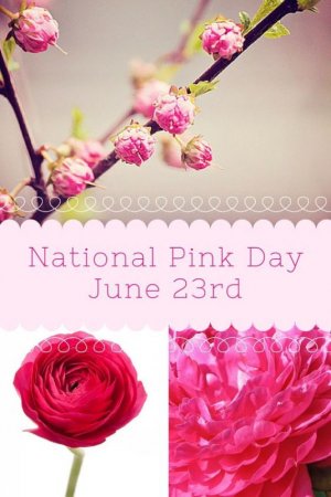 8d22bb29936b53c568c423cb5a3062bc[1].jpg