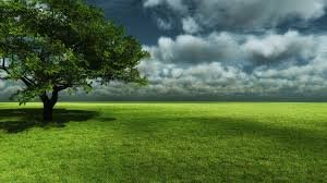 open spaces.jpg