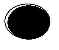 eye.jpg