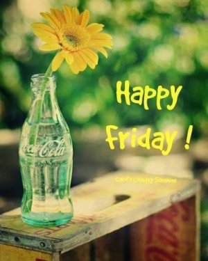 c8c354b321321dc9ffd581079db98f3e[1].jpg