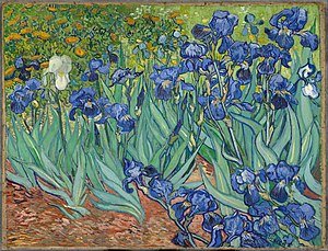 300px-Irises-Vincent_van_Gogh.jpg