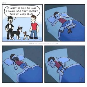 1655406168018.jpg