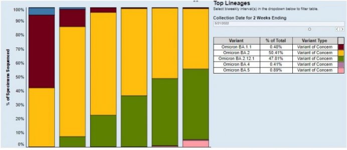 COVID IN FAMILY AT TIME OF INFECTION  BA 2 or BA 2.12.1 .jpg