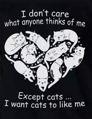 cattitude062622.jpg