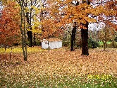 100_1388.jpg