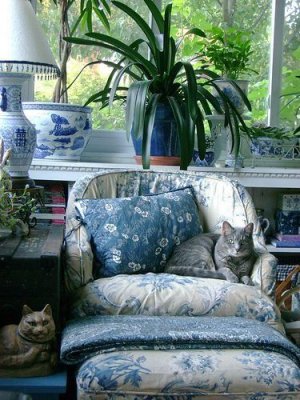 74db2abae7153de201d4b7d054164911[1].jpg