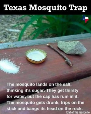FB_IMG_1656146640534.jpg