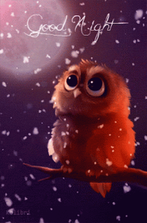 947cc4030863f65b6562306845911aa9[1].gif