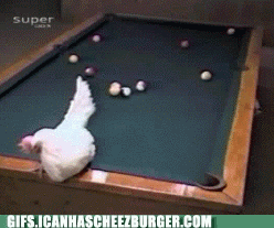 but-how.gif