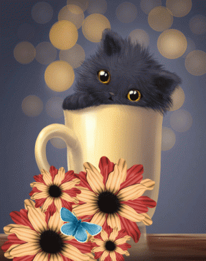20ddb64e1e128a8214a006082dcea647.gif