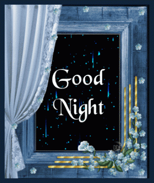 397369-Good-Night-Gif.gif
