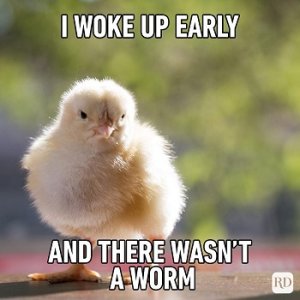 I-woke-up-early-and-there-wasn’t-a-worm-1.jpg