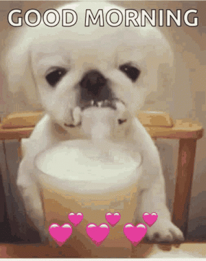 dog-drinking.gif