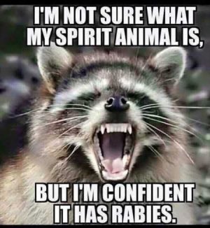 c67d49b2ca26ae65094bccf34b6bb937--hilarious-quotes-funny-jokes.jpg