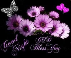 b650420f93b8fe5a2d21f9652862592e--flower-images-flower-pictures.jpg